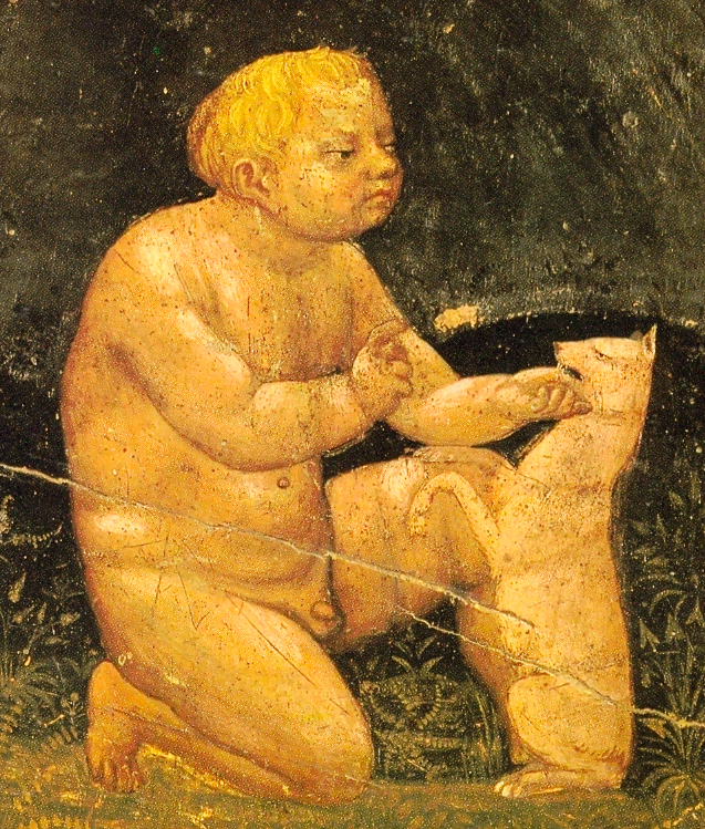 ,   ,  .   / www.donatelo.ru